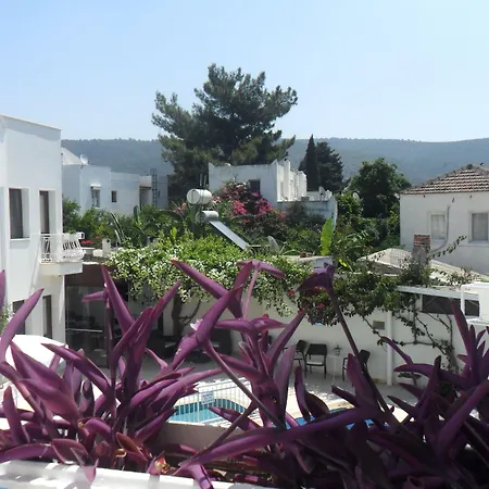 Asmin 3* Bodrum