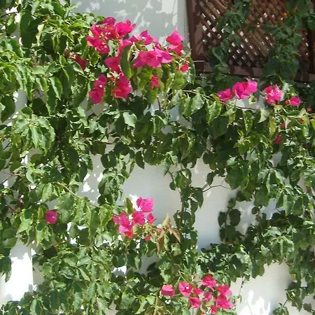 فندق اسمين